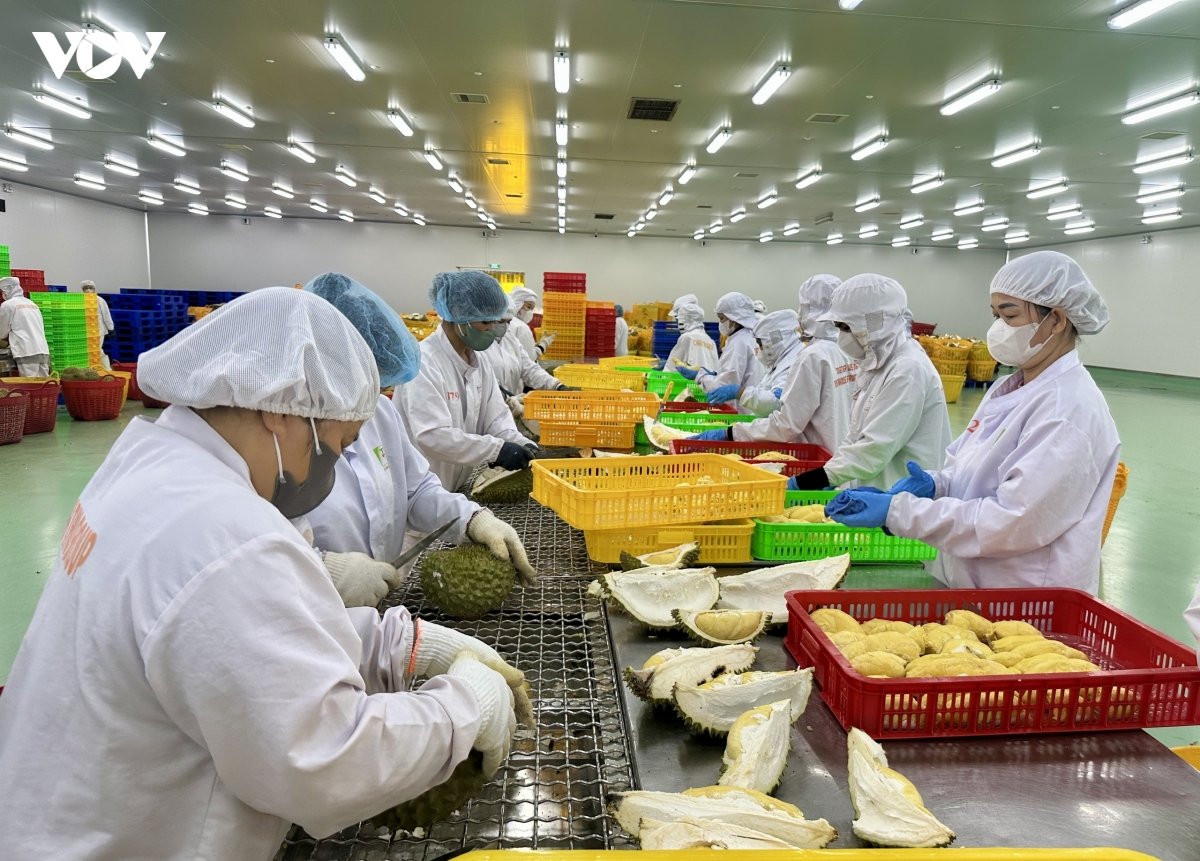 Tiêu chuẩn quốc tế thay đổi tạo áp lực và động lực mới cho nông sản Việt